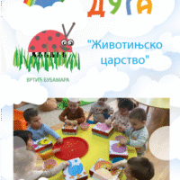 Пројекат „Животињско царство“васпитачица Јасмине Марковић и Љиљане Стојковић са млађом јасленом групом „Бебци“ вртића „Бубамара“