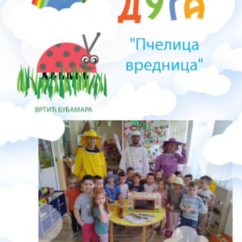 „Пчелица вредница“ пројекат средње васпитне групе вртића „Бубамара“ васпитачице Наташа Месаровић и Оливера Милачић